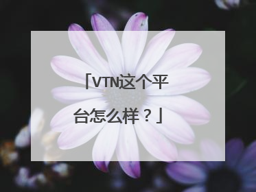 VTN这个平台怎么样?