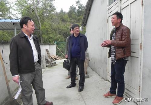 不知道农村干什么好，这7个项目可考虑，收入不比外面来得少