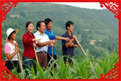 创业商机网农村工厂项目推荐（干好这几个项目不愁没钱赚）