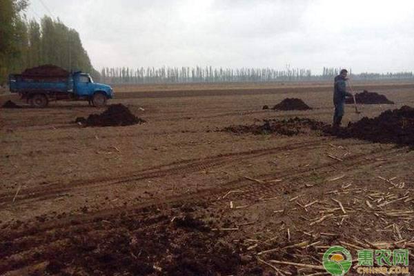 2019年农村有哪些热门赚钱项目？这四种你都了解吗？