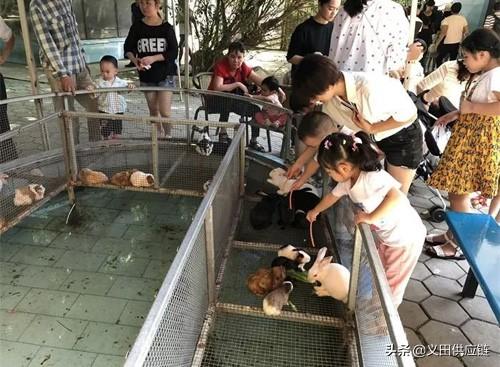 农村24个挣钱的事业，看看这些事业是不是也能带你走上致富之路