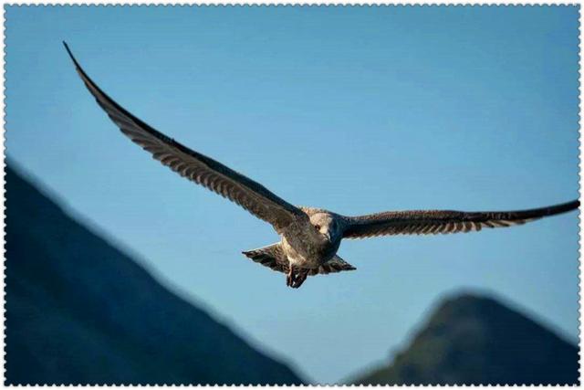 一个穷人，如何积累财富投资赚钱呢？先做好这几点