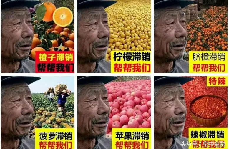 爱心助农骗局居然已经形成产业链？渠道商承诺一周搞掂！