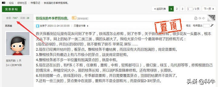 私家珍藏的论坛发帖引流技巧