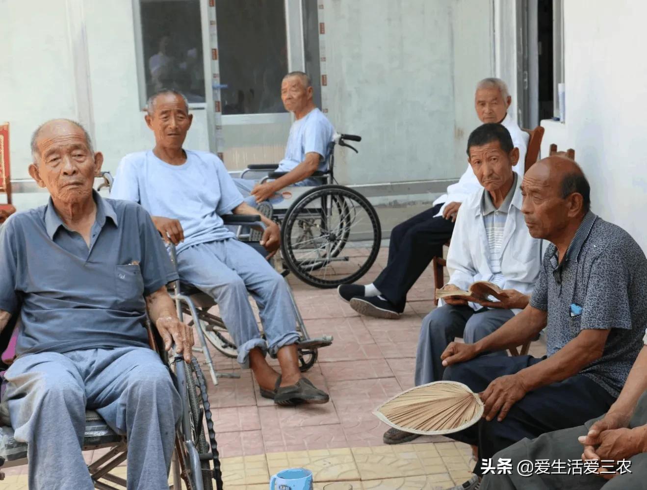 年轻人不想打工，回农村又不知道干什么？这八个项目值得考虑！