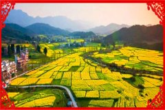 农村养什么最赚钱回本快(2021年农村养殖致富项目)